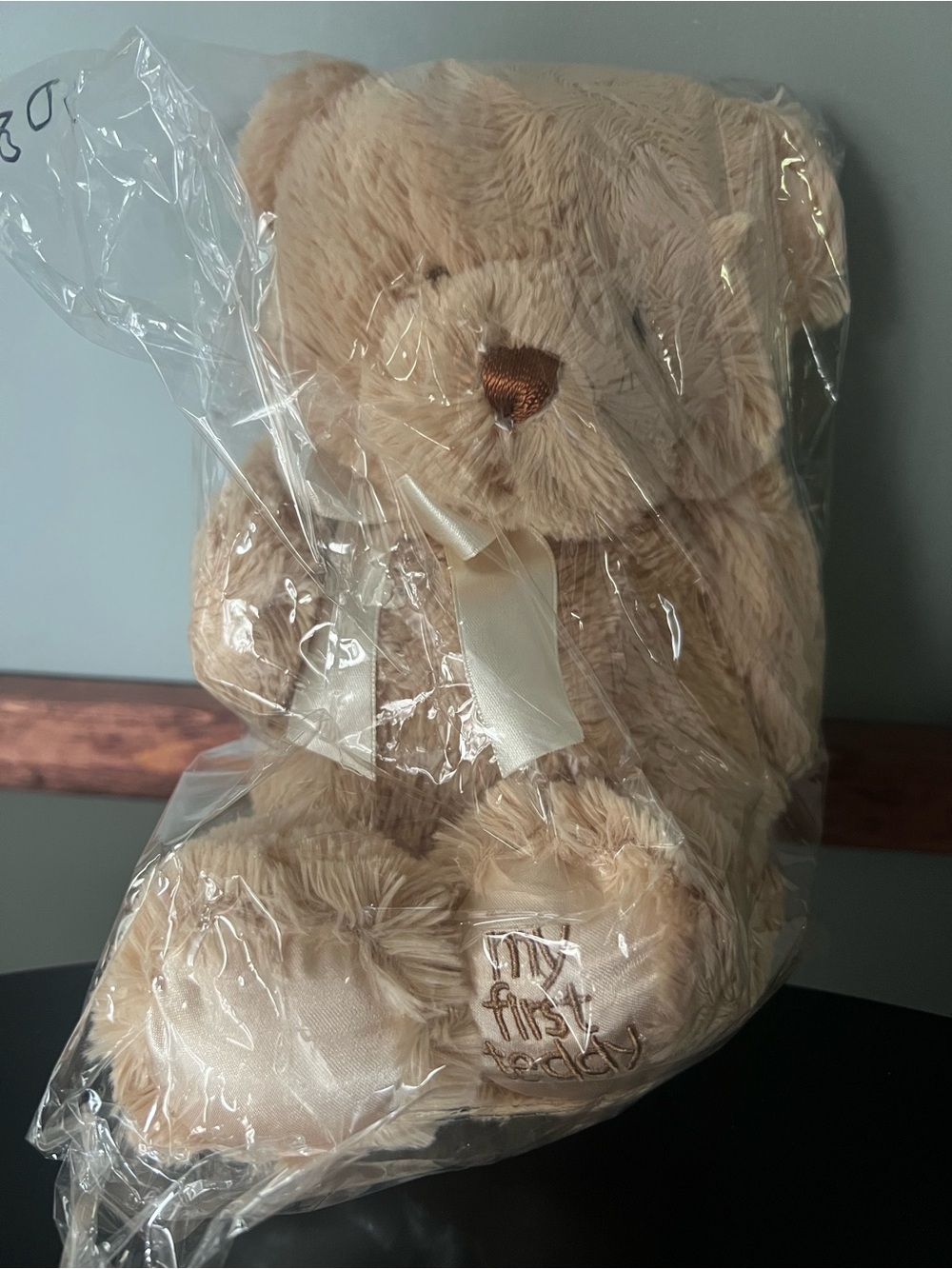 My First Teddy Bear Plush Stuffed Animal
